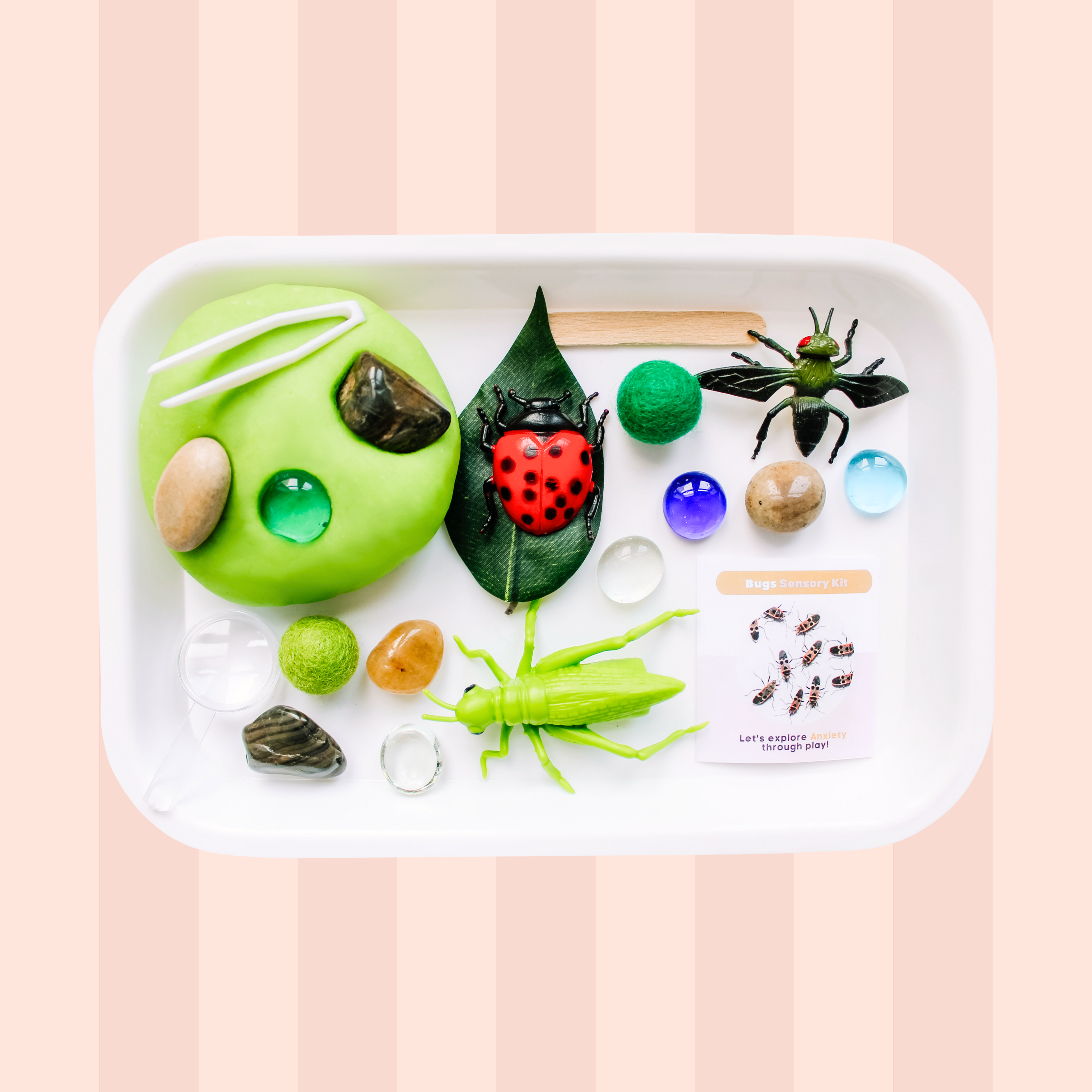 Read for a sale on our best-selling Bugs Sensory Kit!