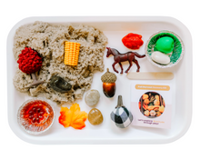 Load image into Gallery viewer, Fall Harvest Sensory Kit
